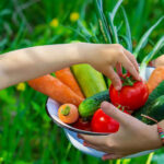Eine bunte Schale mit frischem Gemüse wie Karotten, Paprika und Gurken. Ein Kind greift freudig nach einem Stück Gemüse, während es die Auswahl erkundet. Das Bild strahlt Frische und Neugier aus.