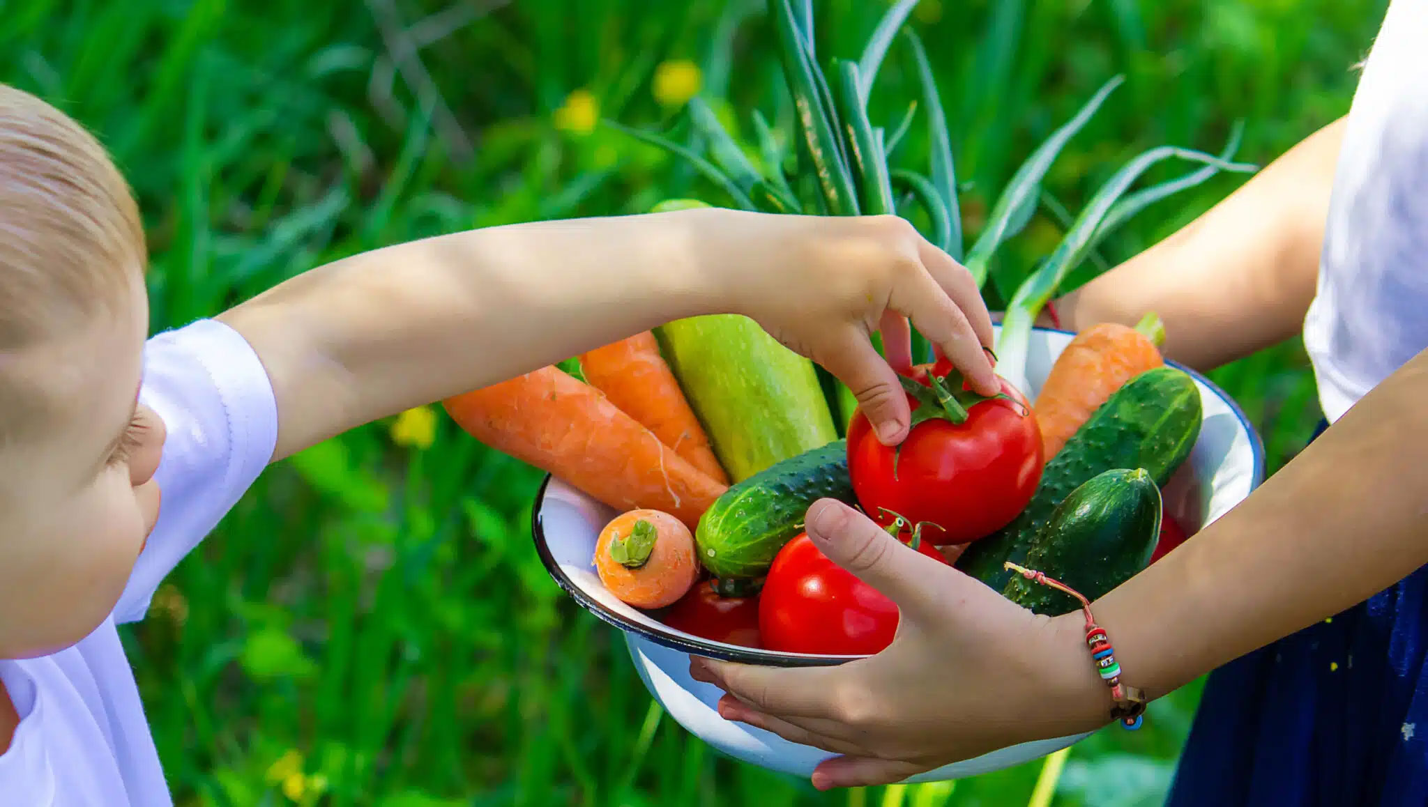 Eine bunte Schale mit frischem Gemüse wie Karotten, Paprika und Gurken. Ein Kind greift freudig nach einem Stück Gemüse, während es die Auswahl erkundet. Das Bild strahlt Frische und Neugier aus.
